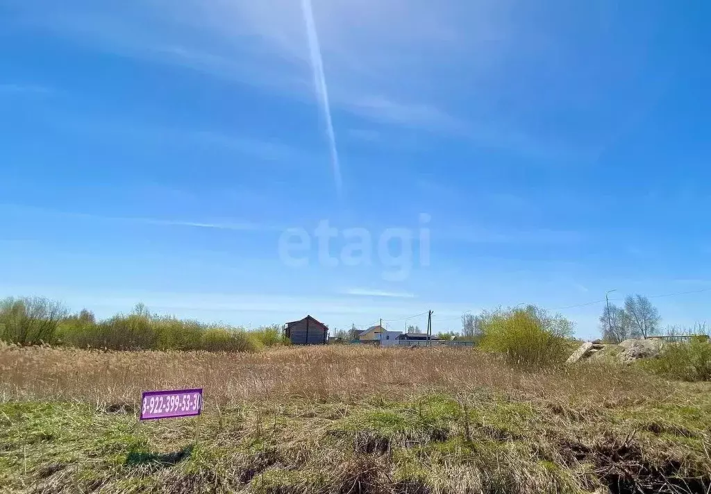 Участок в Тюменская область, Ялуторовский муниципальный округ, Березка ... - Фото 1