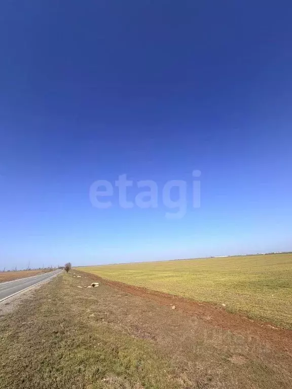 Участок в Крым, Сакский район, с. Молочное  (782.57 сот.) - Фото 1