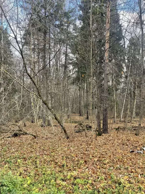 Участок в Московская область, Красногорск городской округ, д. Глухово  ... - Фото 0