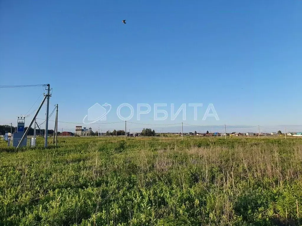 Участок в Тюменская область, Тюменский район, д. Большие Акияры  (8.04 ... - Фото 1