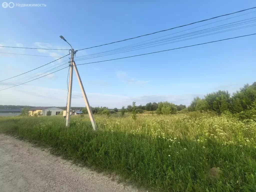 Участок в Московская область, городской округ Ступино, деревня Рудины, ... - Фото 1