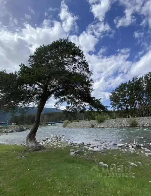 Коттедж в Алтай, Чемальский район, с. Чемал ул. Калинина, 23 (121 м) - Фото 2