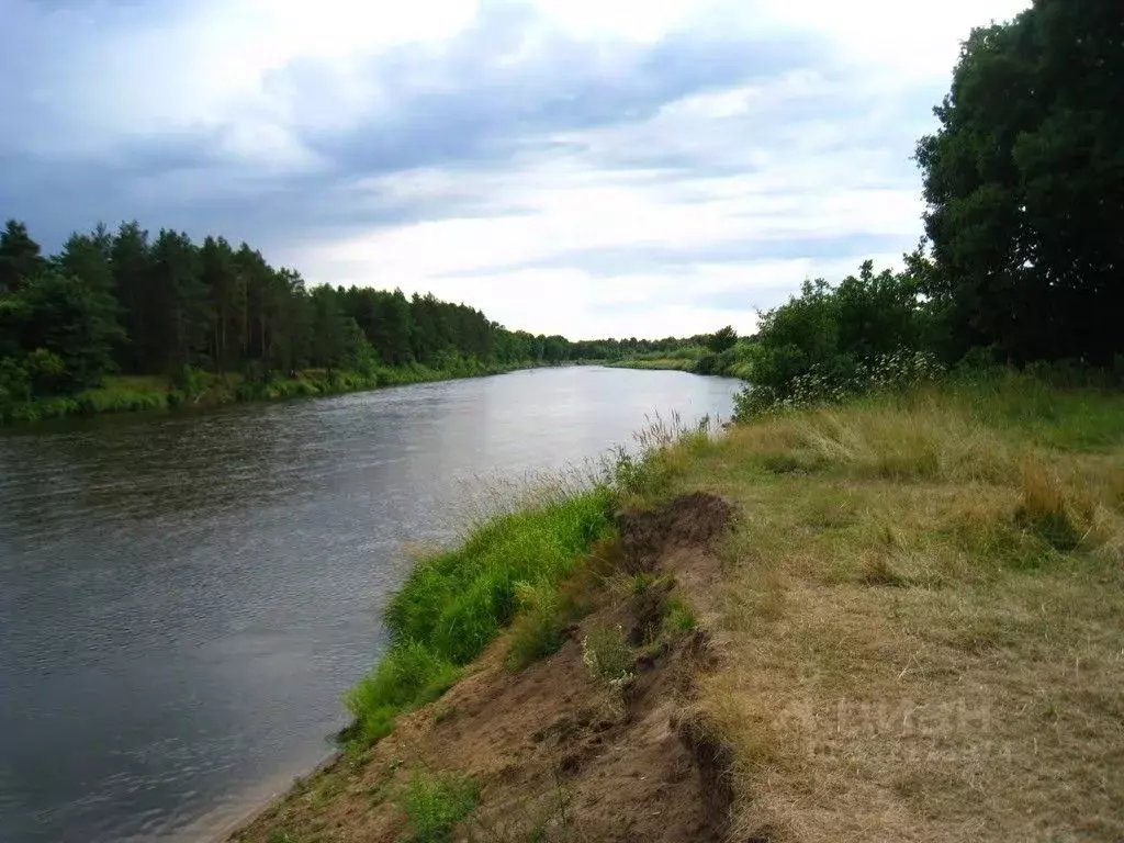 Участок в Московская область, Богородский городской округ, с. ... - Фото 2