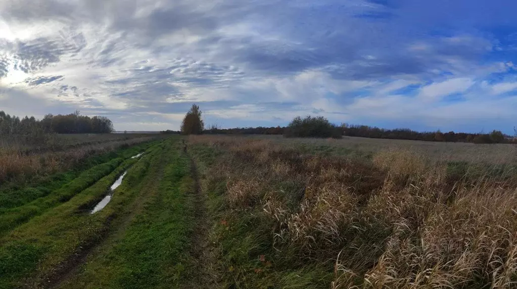 Участок в Новгородская область, Новгородский район, Борковское с/пос, ... - Фото 2