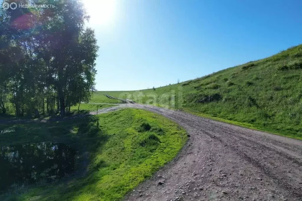 Участок в Майминский район, село Подгорное (10.45 м) - Фото 2