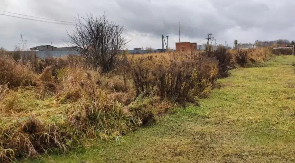 Участок в Московская область, Щелково городской округ, д. Еремино  ... - Фото 1