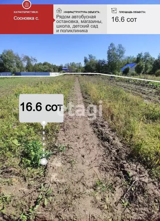 Участок в Хабаровский край, Хабаровский район, с. Сосновка  (16.6 ... - Фото 1