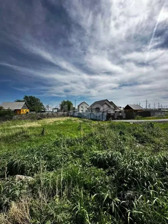 Участок в Новосибирская область, Новосибирский район, с. Толмачево ... - Фото 1
