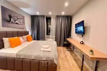 1-к кв. Санкт-Петербург просп. Энергетиков, 2к2 (27.0 м) - Фото 0
