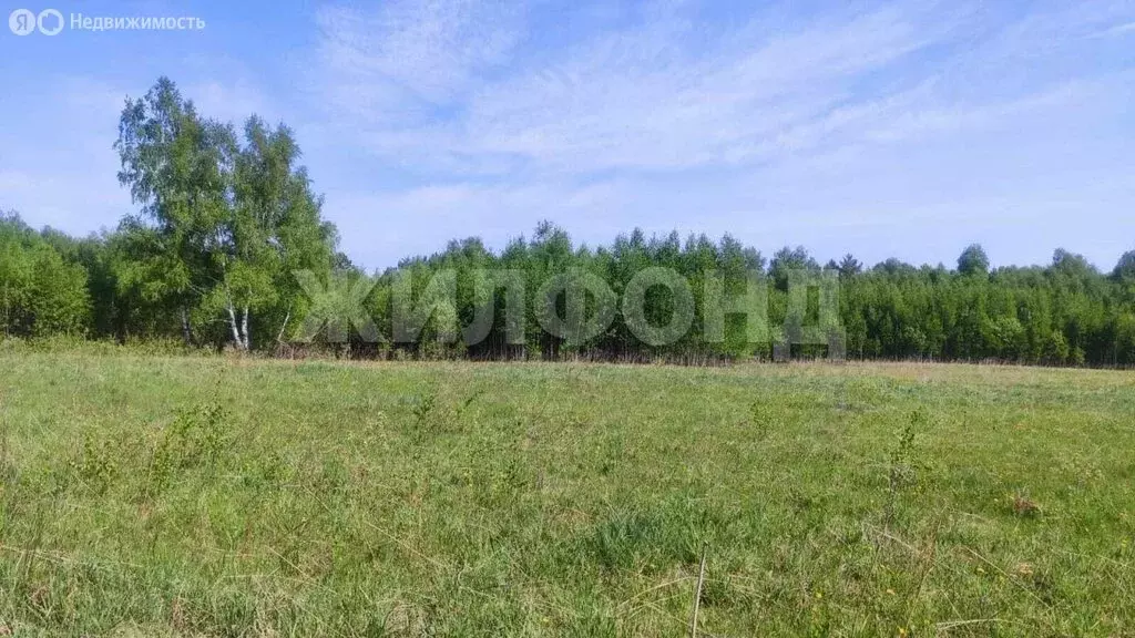 Участок в Томский район, деревня Госконюшня (408 м) - Фото 1