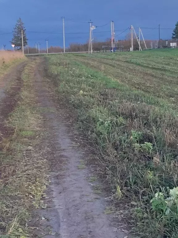 Участок в Московская область, Можайский муниципальный округ, д. ... - Фото 1