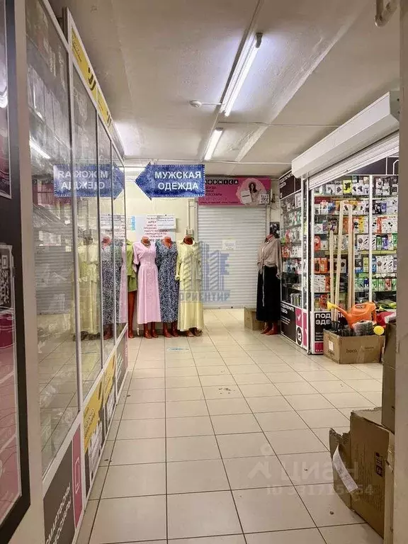 Помещение свободного назначения в Чувашия, Чебоксары просп. Мира, 17 ... - Фото 2