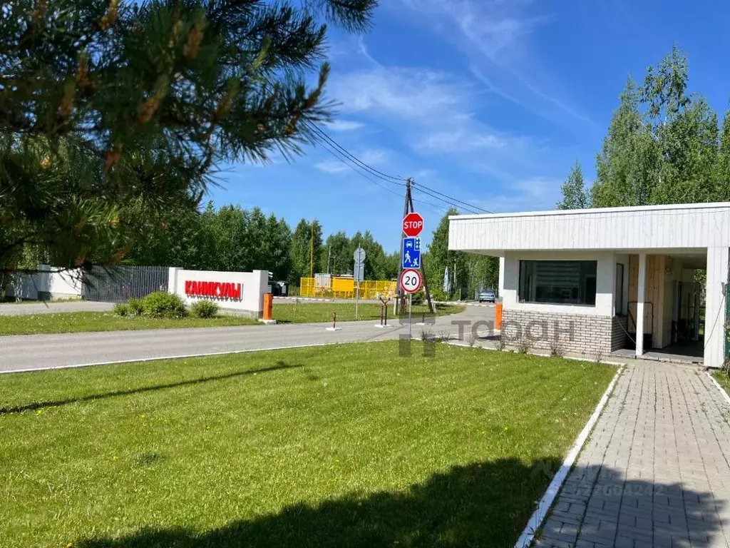 Участок в Челябинская область, Аргаяшский муниципальный округ, пос. ... - Фото 2