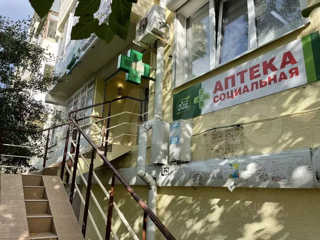 Помещение свободного назначения в Краснодарский край, Геленджик ... - Фото 1