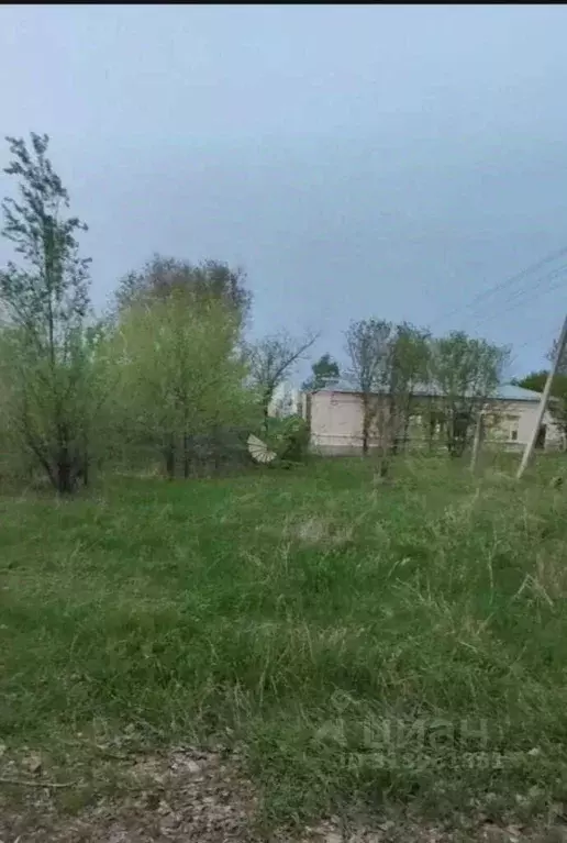 Участок в Саратовская область, с. Усть-Курдюм ул. Зеленая, 31А (10.0 ... - Фото 1