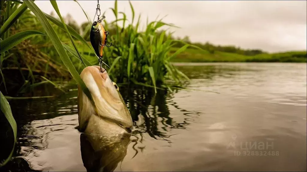 Участок в Краснодарский край, Калининский район, Гривенское с/пос, ... - Фото 1