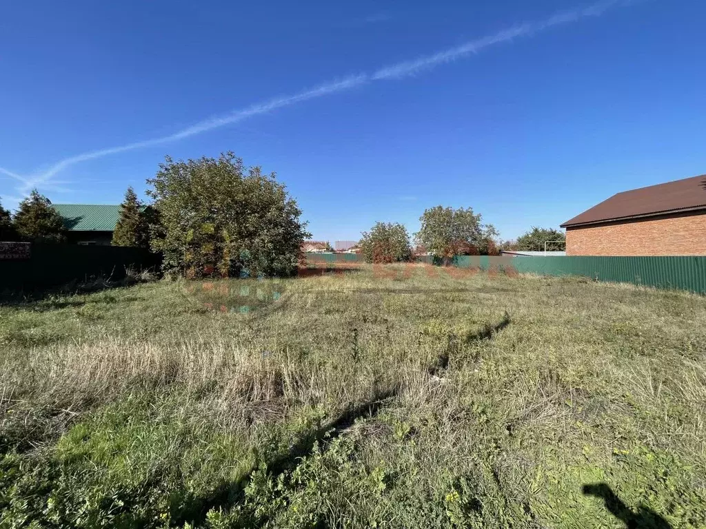 Участок в Ростовская область, Мясниковский район, с. Большие Салы ул. ... - Фото 2