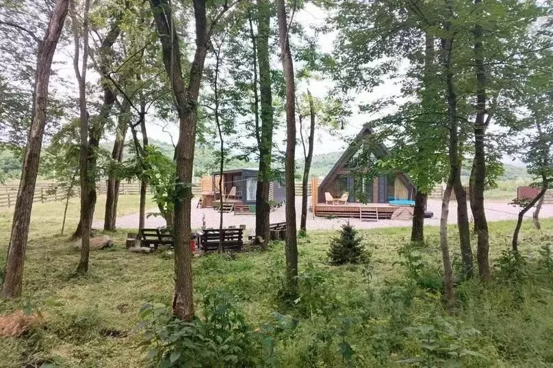 Дом в Ставропольский край, Предгорный муниципальный округ, Воронов ... - Фото 2