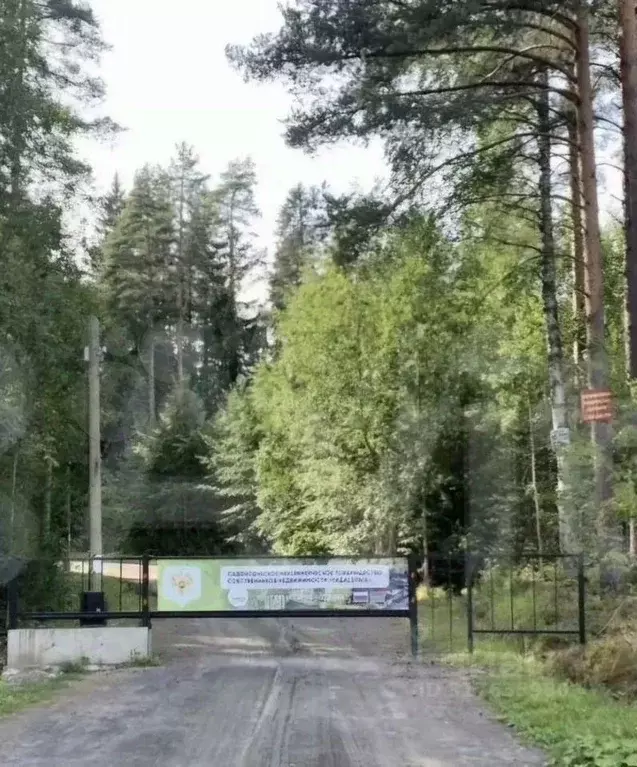 Участок в Карелия, Прионежский район, Деревянское с/пос, Педасельга ... - Фото 1
