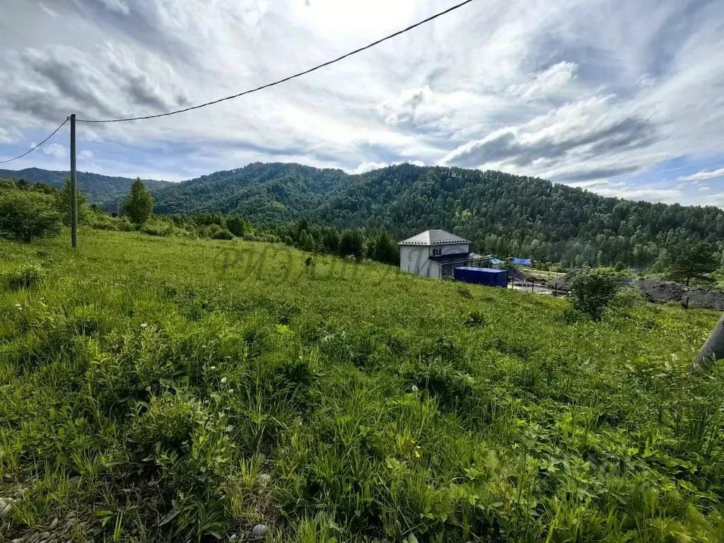 Участок в Алтай, Майминский район, с. Озерное ул. Нагорная (12.8 сот.) - Фото 0