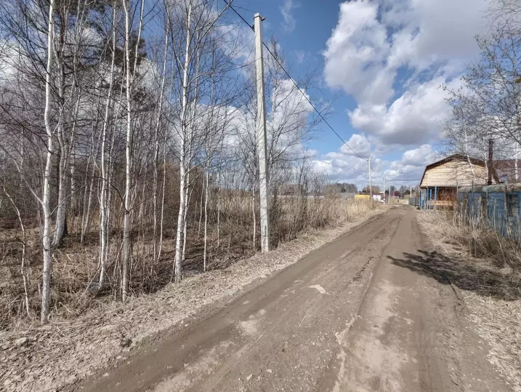 Участок в Тюменская область, Тюмень Россиянка садовое товарищество, ... - Фото 1