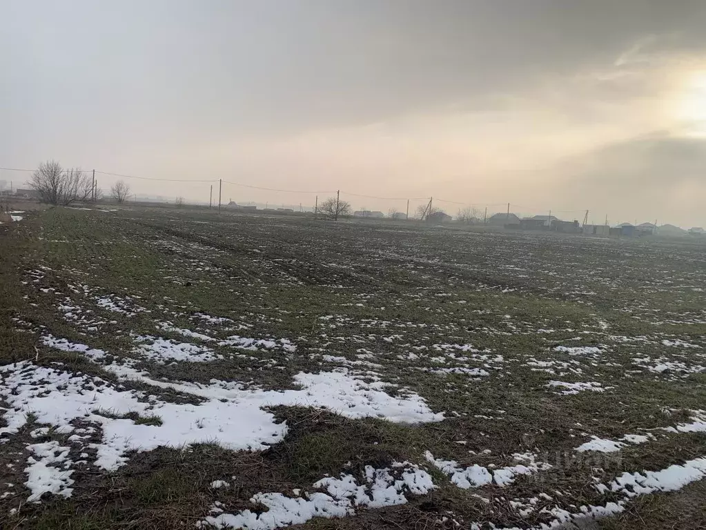 Участок в Краснодарский край, Темрюкский район, Старотитаровское ... - Фото 0