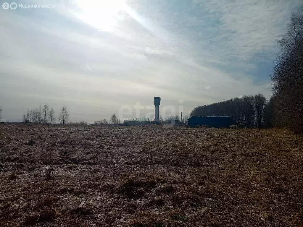 Участок в Ярославская область, Некрасовский муниципальный округ, ... - Фото 2