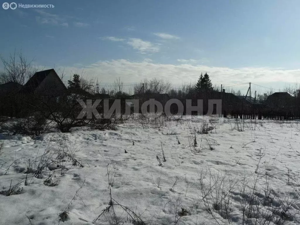 Участок в Новосибирск, Торфяная улица (10 м) - Фото 2