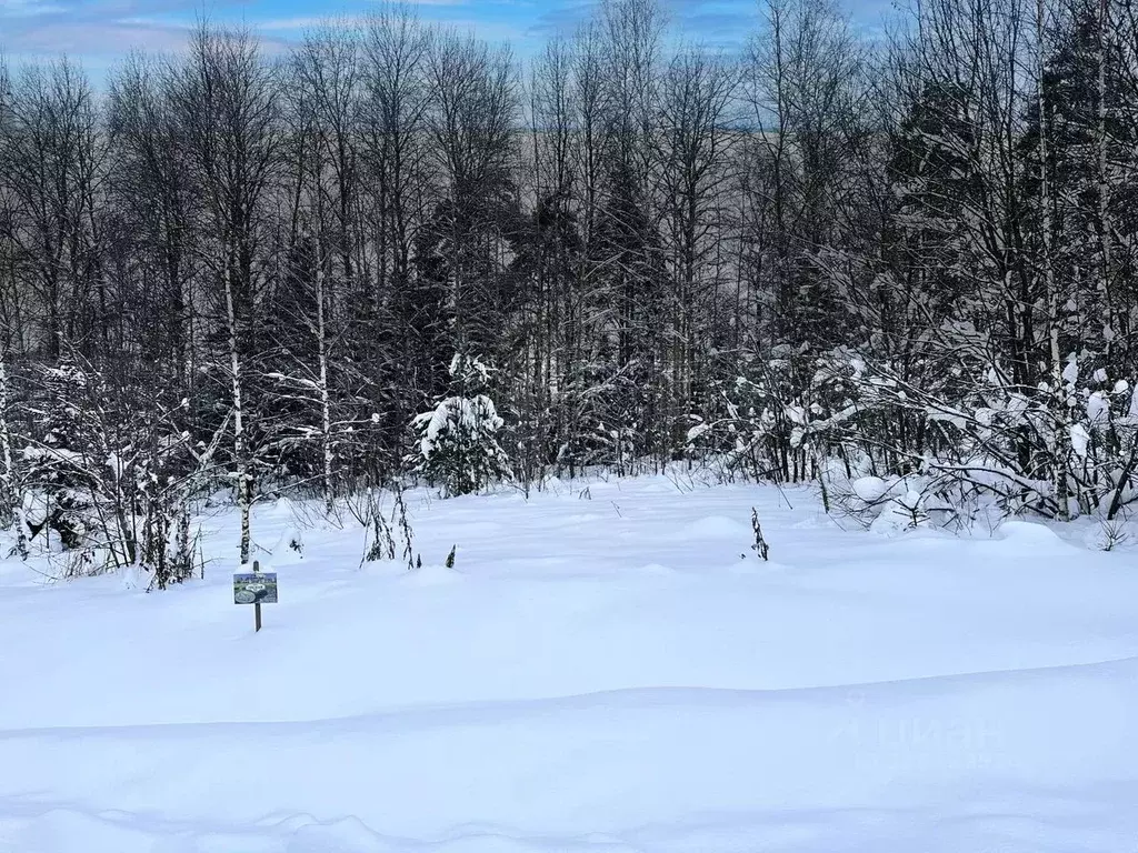 Участок в Московская область, Дмитровский муниципальный округ, ... - Фото 2