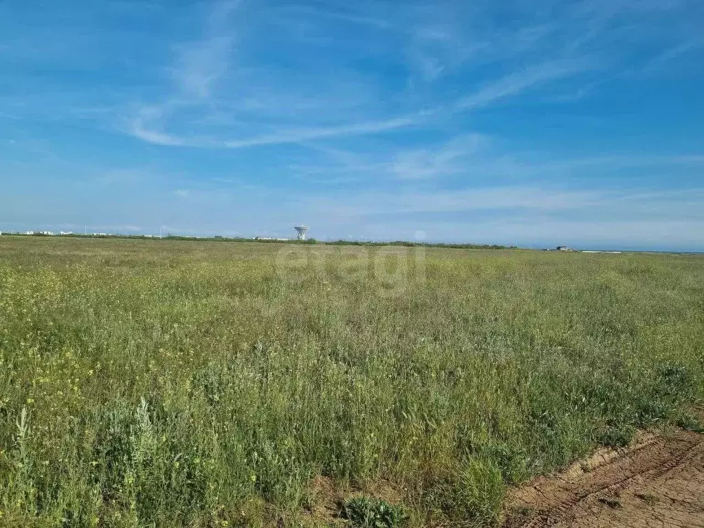 Участок в Крым, Сакский район, с. Молочное  (8.0 сот.) - Фото 1