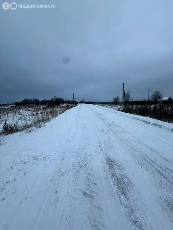 Участок в Палкинский район, Новоуситовская волость, деревня Новая ... - Фото 2