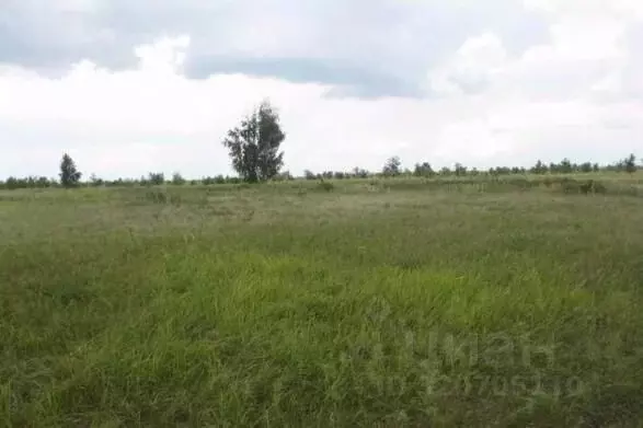 Участок в Самарская область, Тольятти Южное ш. (4500.0 сот.) - Фото 0