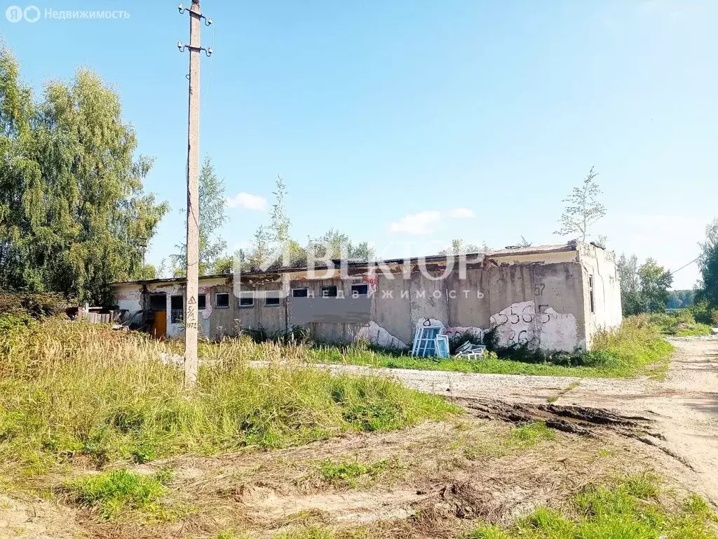 Помещение свободного назначения (290.7 м) - Фото 1