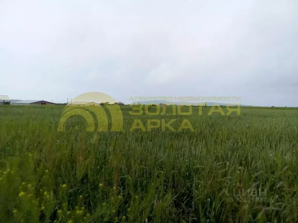 Участок в Краснодарский край, Темрюкский район, Фонталовское с/пос, ... - Фото 1