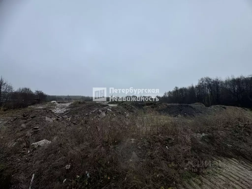 Участок в Ленинградская область, Всеволожский район, Имени Свердлова ... - Фото 0