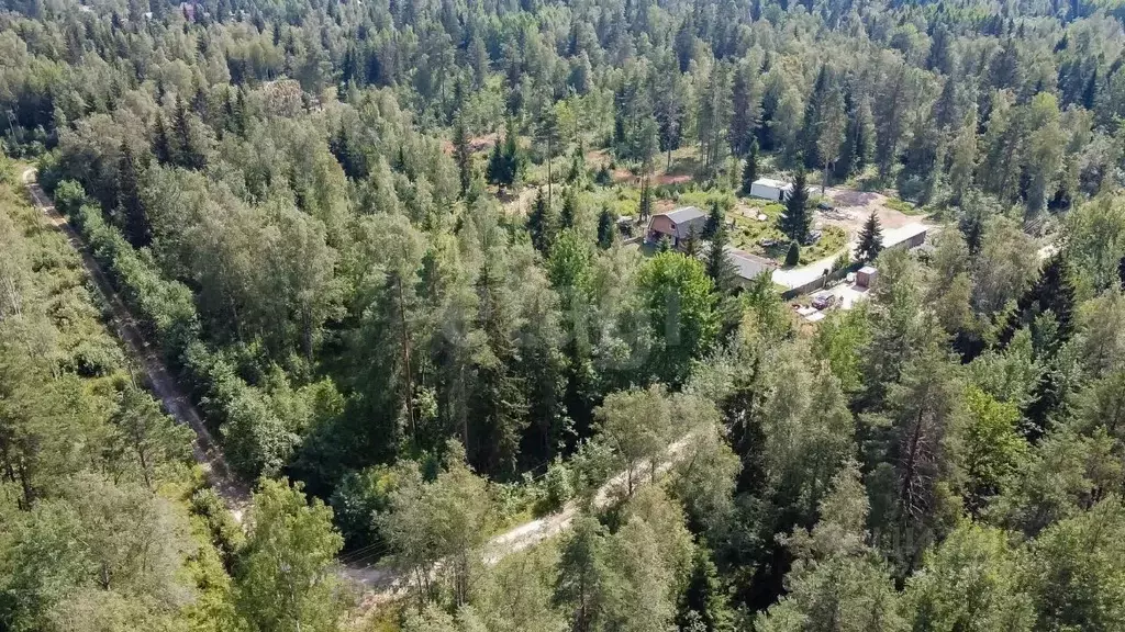 Участок в Ленинградская область, Всеволожский район, Куйвозовское ... - Фото 1