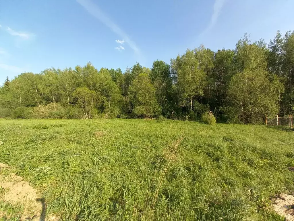 Участок в Московская область, Дмитровский муниципальный округ, д. ... - Фото 2