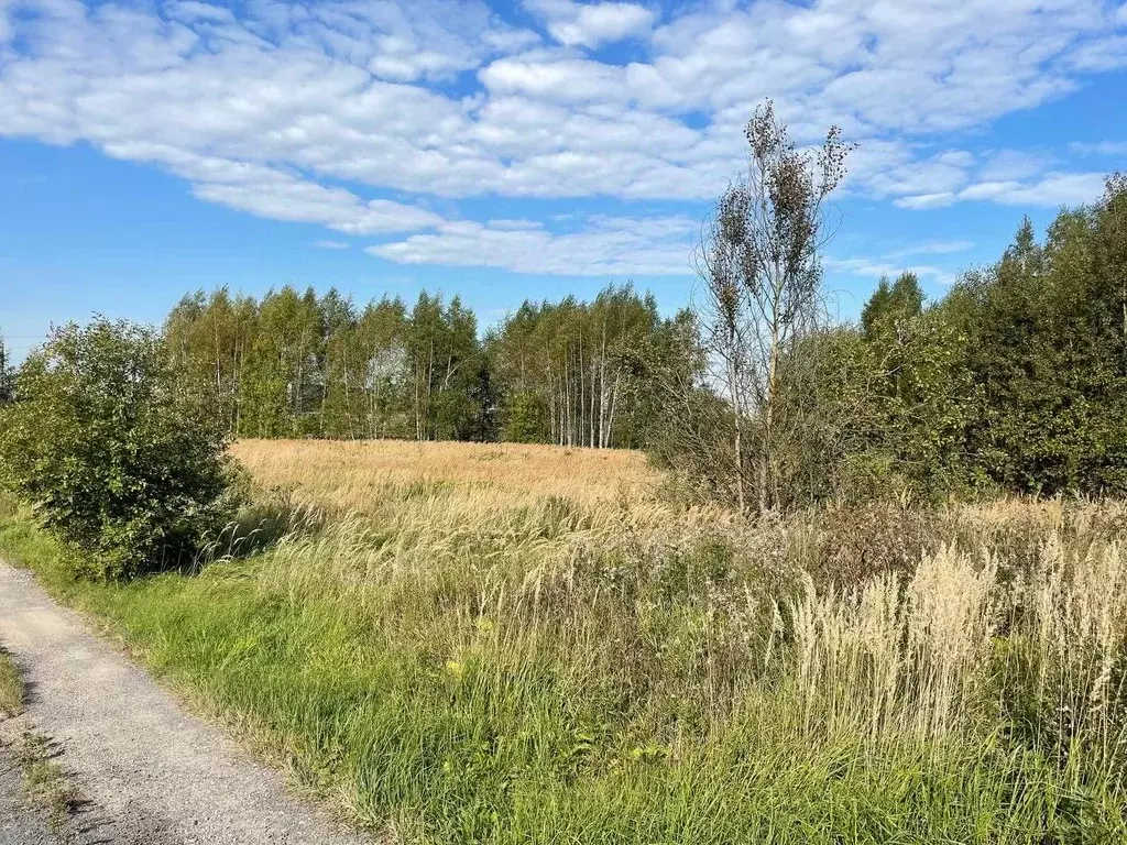 Участок в Московская область, Сергиево-Посадский городской округ, д. ... - Фото 2