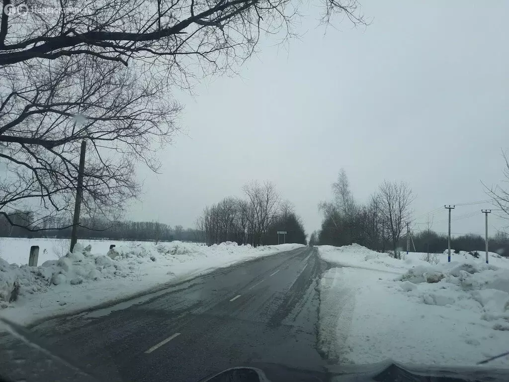 Участок в Московская область, Раменский муниципальный округ, село ... - Фото 2