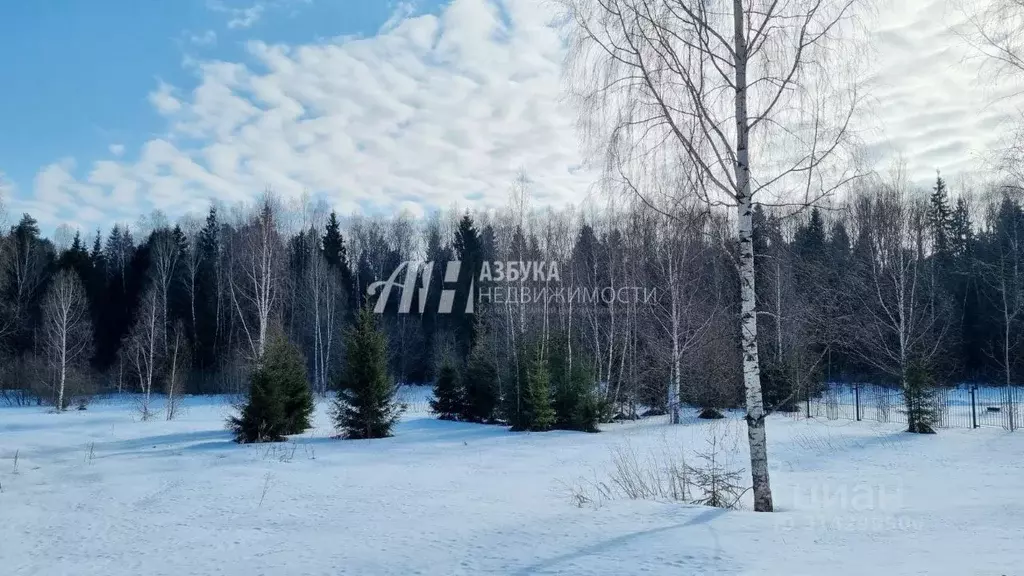 Участок в Московская область, Мытищи городской округ, д. Долгиниха ... - Фото 1