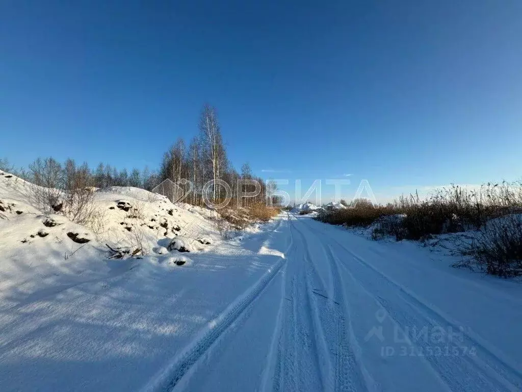 Участок в Тюменская область, Тюмень  (400.0 сот.) - Фото 1