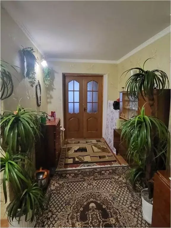 2-к кв. Крым, Саки ул. Гайнутдинова, 13 (50.3 м) - Фото 1