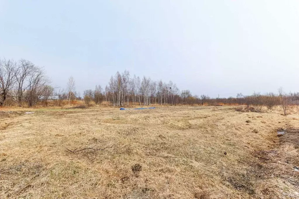 Дом в Хабаровский край, Хабаровский район, с. Благодатное ул. Вичирко, ... - Фото 2