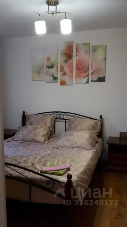 1-к кв. Краснодарский край, Сочи Центральный мкр, ул. Кубанская, 21А ... - Фото 0