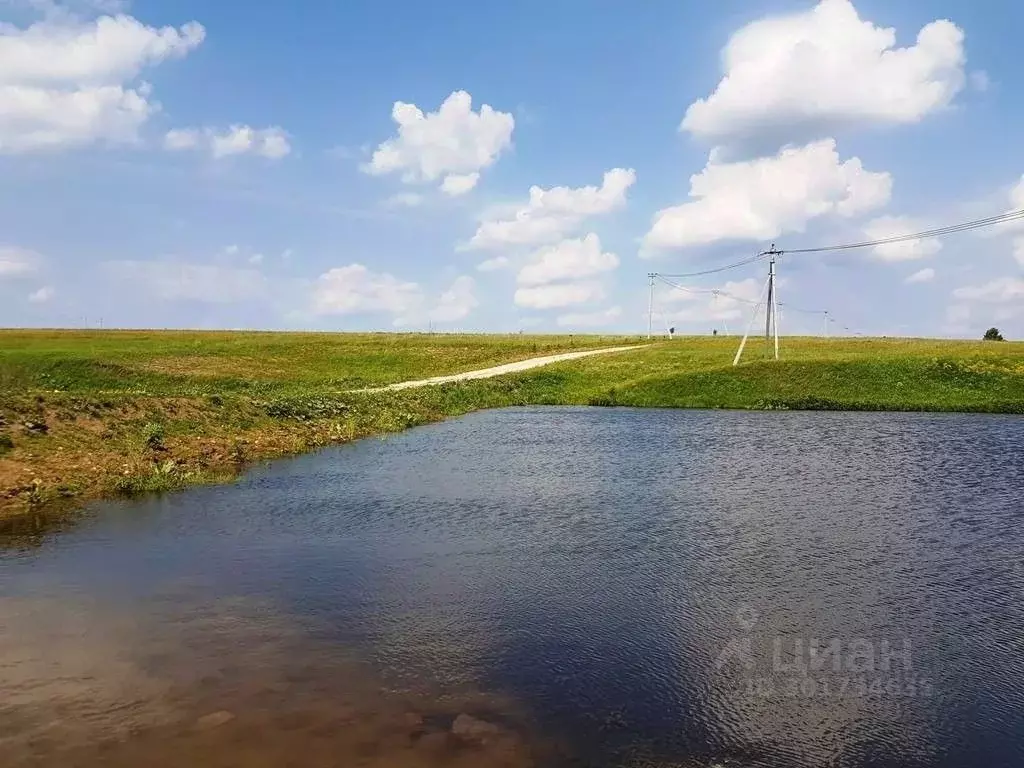 Участок в Тульская область, Заокский район, Демидовское с/пос, с. ... - Фото 2