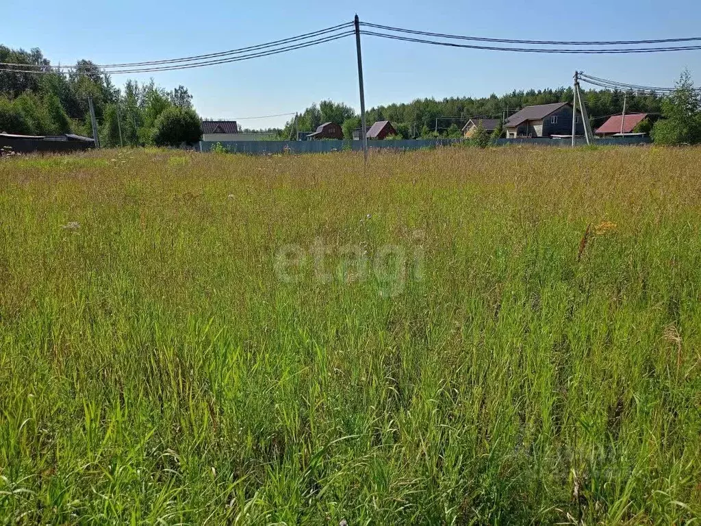 Участок в Вологодская область, с. Кубенское ул. Пролетарская, 23 ... - Фото 1