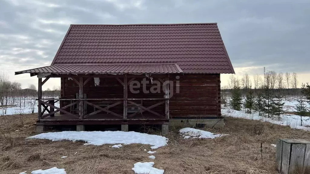 Участок в Ленинградская область, Волосовский район, Большеврудское ... - Фото 1