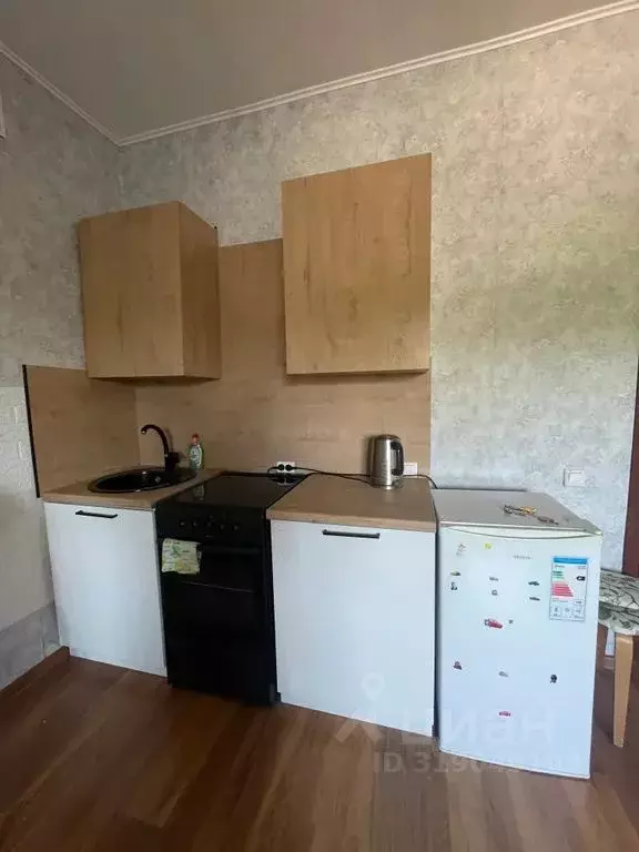 Студия Алтай, Горно-Алтайск ул. Строителей, 2/1 (26.0 м) - Фото 1