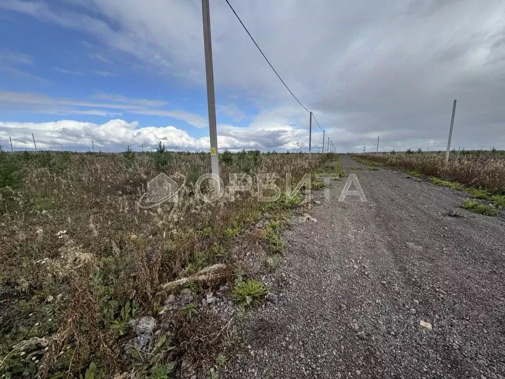 Участок в Тюменская область, Тюменский район, д. Малиновка ул. ... - Фото 2