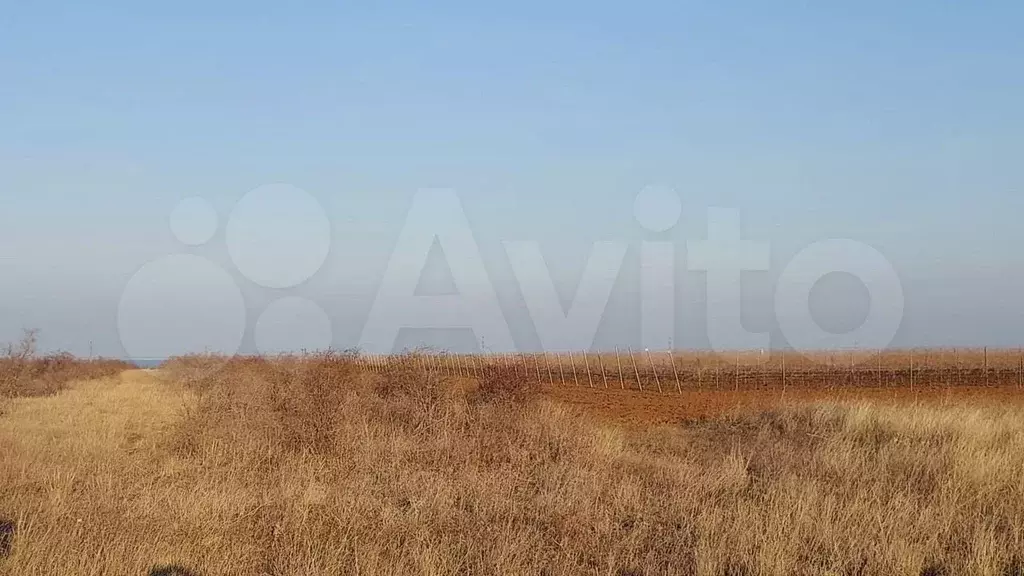 Участок 100 сот. (СНТ, ДНП) - Фото 0